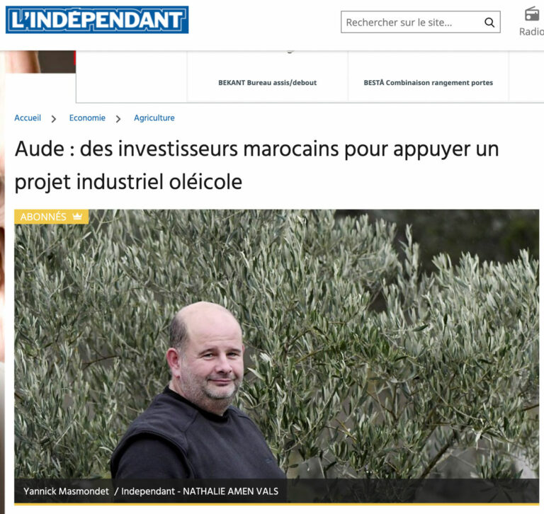 independant-oil'ive-green
