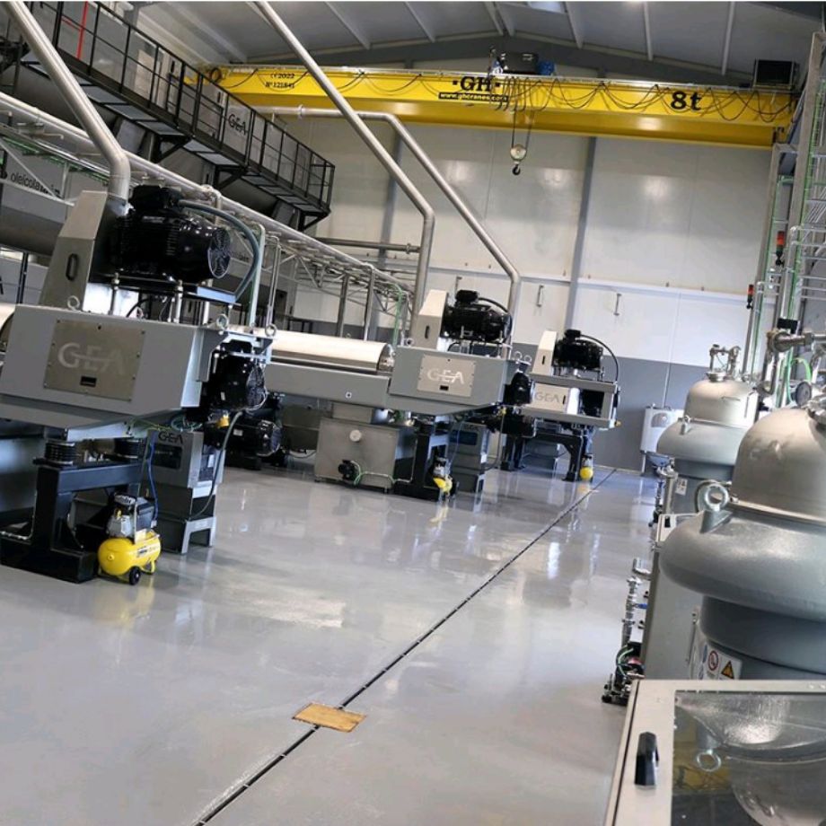 oil'ive green investir dans l'huile d'olive