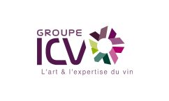 partenaire groupe ICV